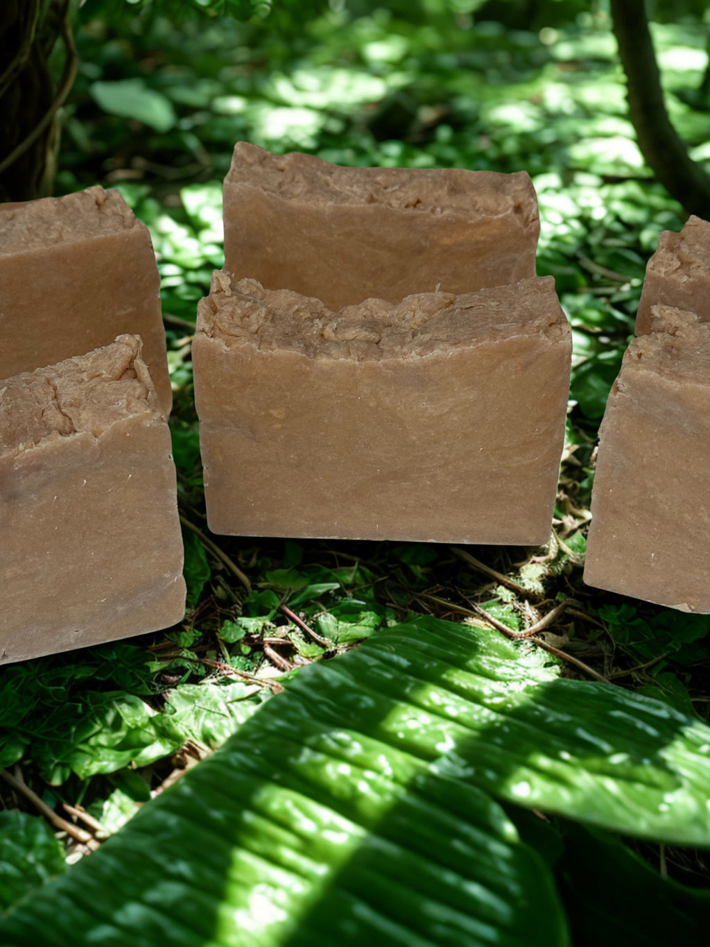 Wild Sage and Aloe w/ Goat's Milk and Tallow Soap Bar - 5 oz.